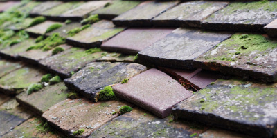 Halfpenny Furze roof repair costs